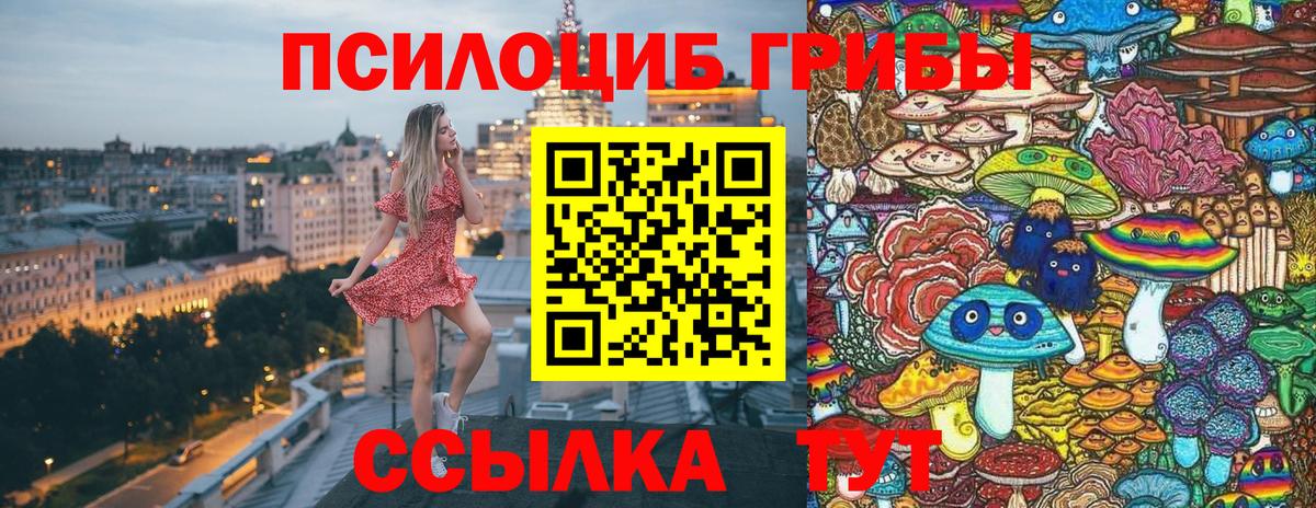 Галлюциногенные грибы прущие грибы  что такое   Котлас  Вход с VPN 