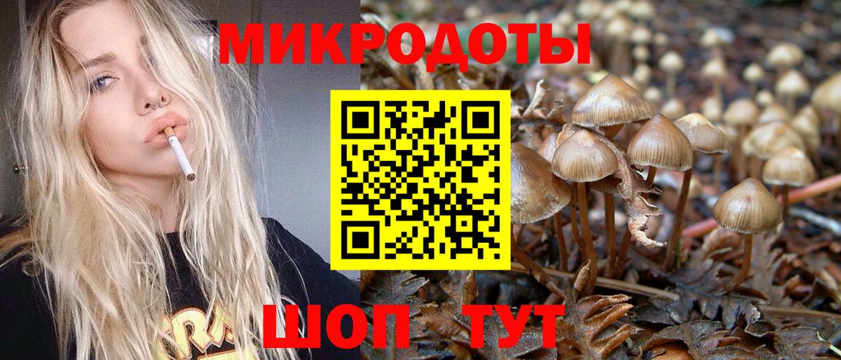 Псилоцибиновые грибы мицелий Котлас